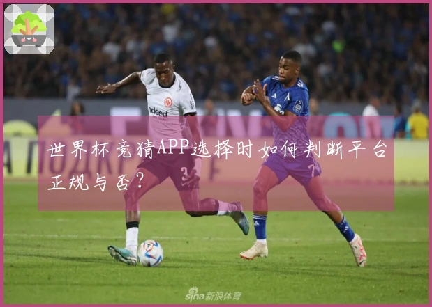 世界杯竞猜APP选择时如何判断平台正规与否？