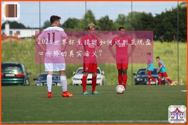2026世界杯竞猜时如何识别正规盘口升降的真实含义？